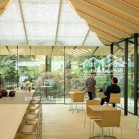 Cho Thuê Nhà Mặt Phố Quảng An View Hồ Tây Diện Tích 100Mx3T Có Sân 150Mmặt Tiền10M Giá Chỉ 180 Triệu Có Tl