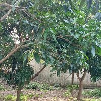 Bán Đất Ở Đường Huyện Lộ 94C, 3,2 Tỷ, 600M2, Mỹ Tho, Tiền Giang