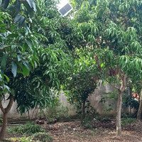 Bán Đất Ở Đường Huyện Lộ 94C, 3,2 Tỷ, 600M2, Mỹ Tho, Tiền Giang