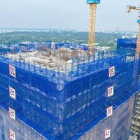 Nhu Cầu Đổi Sang Đầu Tư Shophouse, Nhượng Lại Căn Này Giá Tốt Hơn Thị Trường 200 Triệu
