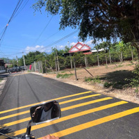 Đất Diên Hòa. Mặt Tiền Đường Nhựa. Ngay Khu Trung Tâm Xã. Cơ Quan Hành Chính Huyện