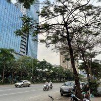Bán Nhà Mặt Phố Võ Chí Công, 46,9 Tỷ, 110M2, Hàng Hiếm Tại Tây Hồ, Hà Nội