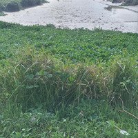 Đất Mặt Tiền Sông Cửa Tiểu (Sông Tiền) Phố Thị Giá Cao, Về Vùng Ven Nhiều Dự Án Đang Khởi Công Làm