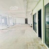 Cho Thuê Văn Phòng 500M2, 200 Triệu Tại Hàm Nghi, Nguyễn Thái Bình, Q1, Hcm