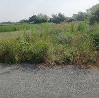 Bán Đất Xã Thái Mỹ, Huyện Củ Chi. Đất Sạch Đẹp, Giá Chính Chủ Bán