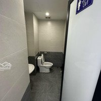 Cho Thuê Nhà Mặt Phố Đường Cầu Giấy. Diện Tích 140M², 7 Tầng Cả Hầm, Mặt Tiền 8 Mét