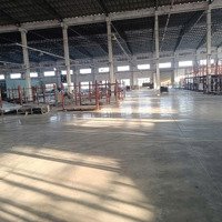 Cho Thuê Xưởng Kcn Mỹ Phước - Bình Dương. Cho Thuê Xưởng 10.000M2 Đến 60.000M2