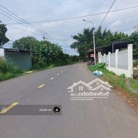 Bán Đất Vườn 1000M Tại Gia Kiệm Có Sẵn Nhà Gỗ, Đường Ô Tô Giá Tốt Đầu Tư