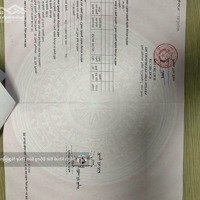 Bán Lô Góc Ngã Tư - Thôn Đông, Lâm Động - Cực Hiếm