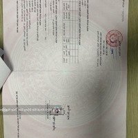 Bán Lô Góc Ngã Tư - Thôn Đông, Lâm Động - Cực Hiếm