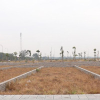 Hàng Hiếm Tại Bãi Bông, Phổ Yên, Thái Nguyên, 20 Triệu / M2, 100 M2 Liên Hệ: 092.9999.553