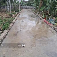 Chính Chủ Gửi Bán Lô Đất Đẹp Tại Phường Hoàng Lâm Thành Phố Thủy Nguyên Hải Phòng