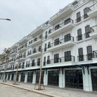 CẦN TIỀN XOAY VÒNG VỐN, CHỦ GỬI BÁN LK4-1x KĐT ĐÔNG DƯƠNG RESIDENCE – ĐỨC THƯỢNG