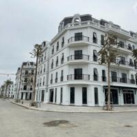 CẦN TIỀN XOAY VÒNG VỐN, CHỦ GỬI BÁN LK4-1x KĐT ĐÔNG DƯƠNG RESIDENCE – ĐỨC THƯỢNG