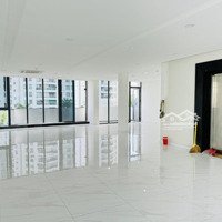 Toà Nhà 2000M2 Mặt Tiền Nguyễn Đình Chiểu, Q. 3, (10X35M, 7 Tầng, Thang Máy, Pccc)