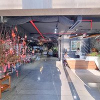 Cho Thuê Tòa Nhà Thảo Điền 6 Tầng 10X25M Nhà Đẹp Khu Đông Sầm Uất