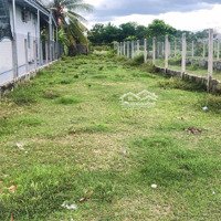 Bán Lô Đất Hơn 200M2 Khu Phố Suối Sâu, Cách Kcx Linh Trung 3 300M, Thích Hợp Xây Dãy Trọ, Kdc Đông