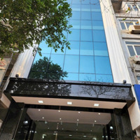 Cho Thuê Nhà Mới Phố Trần Thái Tông - Cg. Diện Tích: 65 M2 * 6 Tầng 1 Hầm. Mt: 6M. Thông Sàn, Thang Máy