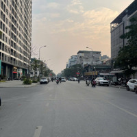 Bán Đất Đường Thành Trung, Thị Trấn Trâu Quỳ - Diện Tích 113M2 Tiềm Năng Tăng Giá Cao