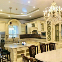 Biệt Thự/Villa Phú Mỹ Hưng Gần Công Viên Cần Giao Dịch Giá Tốt 70 Tỷdiện Tích252M2 Hướng Đông Nam