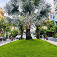 Biệt Thự Cao Cấp 4 Tầng Khu Nhà Ở 357A Nguyễn Trọng Tuyển Tân Bình, Giá Bán 69 Tỷ