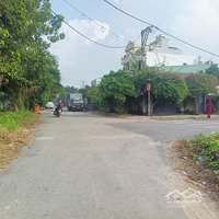 Đất Mặt Tiền Đường Nhựa 8M Nhị Bình, Hóc Môn;Diện Tích(38M38)M, Tc 200M; Sổ Sẵn, Giá Có Thể Tl