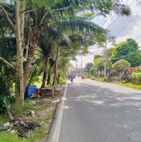 Đất Mặt Tiền Đường Nhựa 8M Nhị Bình, Hóc Môn;Diện Tích(38M38)M, Tc 200M; Sổ Sẵn, Giá Có Thể Tl