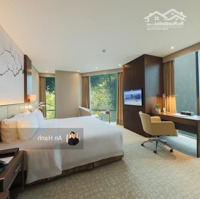 Góc 2Mt Thương Hiệu Lý Tự Trọng - Lê Anh Xuân -Diện Tích7 X 21M( Hầm 8 Tầng + Hđt 395 Triệu) Giá Bán 100 Tỷ