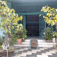 Bán Nhà Cấp 4 (5X16M) Full Thổ Cư - Đường 5M Sát Ql13 - Giá Hạ Bán Nhanh 3Ty25