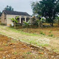 Siêu Phẩm Đất Ba Trại 1863M 60M Mặt Tiền Giá Chỉ Hơn 2 Triệu/M!