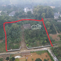 Siêu Phẩm Đất Ba Trại 1863M 60M Mặt Tiền Giá Chỉ Hơn 2 Triệu/M!