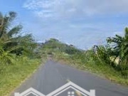 Bán Đất 150M2 Tại Lương Văn Bào, Cần Giuộc, Long An, Giá Thỏa Thuận, View Đẹp! Hot