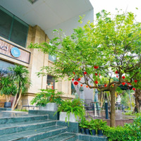 Bán Nhanh Căn 68M2, Sẵn Hợp Đồng Thuê 8 Triệu 1 Tháng Giá Chỉ 1,4 Tỷ