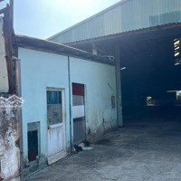 Cho Thuê Kho Xưởng 1.000M2 Bình Chánh. Xưởng Thoáng, Kiến Cố.