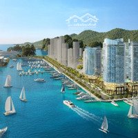 Quỹ Căn Tòa Tháp Mới Đẳng Cấp Trực Diện Vịnh Dự Án Crystal Holiday Vân Đồn