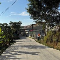 Chính Chủ Bán, Mua Đất Tặng Nhà. Đất Trung Tâm Lộc Thành Kế Ubnd, Có Thổ Cư.diện Tích207M2 Giá Bán 1 Tỷ 350