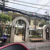 Cafe Sân Vườn View Hồ Tây Tại Trích Sài. Khu Đông Dân Cực Sầm Uất. Phù Hợp Kinh Doanh Cafe