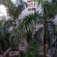 Còn Căn Cc Đặng Xá, Nhà Mới Đẹp, Khu Ct, Giá Chỉ 1,9X Tỷ. Liên Hệ: 0379.483.926