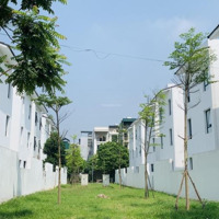 Cần Bán Nhanh Biệt Thự Dương Nội Hà Đông (250 M2) Giá Đầu Tư Chỉ 136 Triệu/M2
