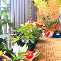 Cần Bán Căn 93 M2 Cc The K Park Văn Phú Hà Đông Tầng Đẹp View Công Viên. Liên Hệ: 0365552546