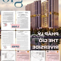 Nhận Booking 50 Triệu/Căn Đợt 1, The Gió Riverside, Cập Nhật Chính Sách Từ Cđt An Gia