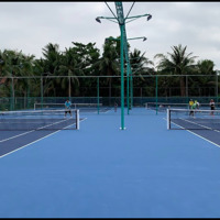 Cho Thuê Sân Pickleball Và Sân Tennis Tại Đường Số 23 Nguyễn Xiển, Sát Vinhomes Grand Park, Quận 9
