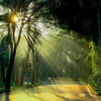 CĂN HỘ NGHỈ DƯỠNG TRONG KĐT ĐÁNG SỐNG ECOPARK CHUẨN BỊ TĂNG GIÁ !!!