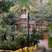  BÁN 2 SÀO ĐẤT VIEW ĐẸP, HẺM NGUYỄN CÔNG TRỨ - TRUNG TÂM TP. BMT . 8 TỶ