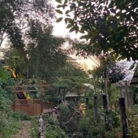  BÁN 2 SÀO ĐẤT VIEW ĐẸP, HẺM NGUYỄN CÔNG TRỨ - TRUNG TÂM TP. BMT . 8 TỶ