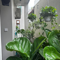 Bán Nhà Phố Triệu Việt Vương Hai Bà Trưng 50M2 7 Tầng Thang Máy Mặt Tiền 12M Nhà Đẹp Ở Ngay 19.7 Tỷ
