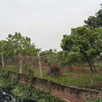 Cần Bán Đất Sẵn Cây Sổ Ruộngdiện Tích3000M2, Giá Bán 3 Tỷ 300 Tại Đại Thành (Hưng Đạo) Quốc Oai, Hà Nội