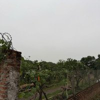 Cần Bán Đất Sẵn Cây Sổ Ruộngdiện Tích3000M2, Giá Bán 3 Tỷ 300 Tại Đại Thành (Hưng Đạo) Quốc Oai, Hà Nội
