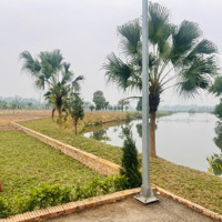 Lô Đất Cổ Đông-Sơn Đông 70M2 View Hồ Tuyệt Đẹp, Nằm Sát Mặt Đường Ql 21 Gần Cnc Hoà Lạc, Đhqg.