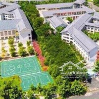 Cần Bán Nhanh Căn Hộ Citi Soho Full Nội Thất Tại Cát Lái ,Đã Có Sổ , Liên Hệ: 0932628985